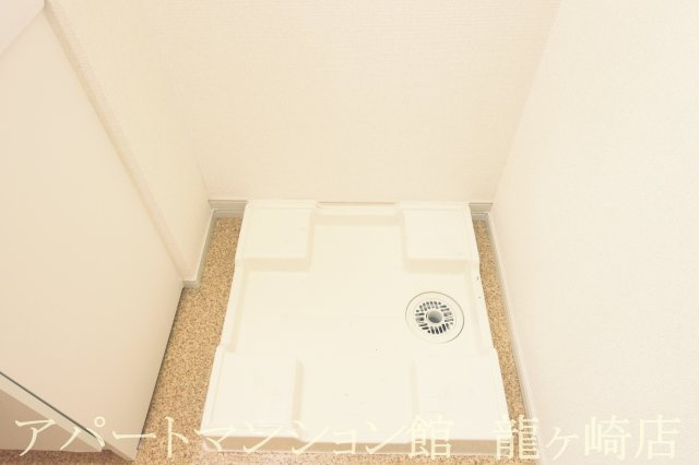 ヒラルス　コルリスのその他