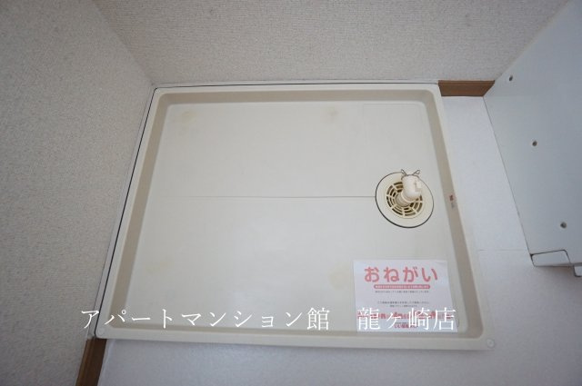 アミスターのその他