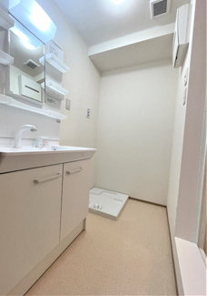 【独立洗面台】 |  グリーンテラス(Green Terrace)　A