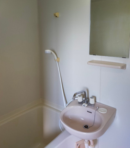 ビッグインうずらのの洗面所