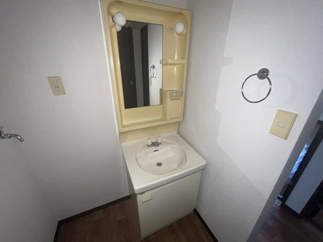 グリーンヒルズ南大泉　Ａ棟の独立洗面台