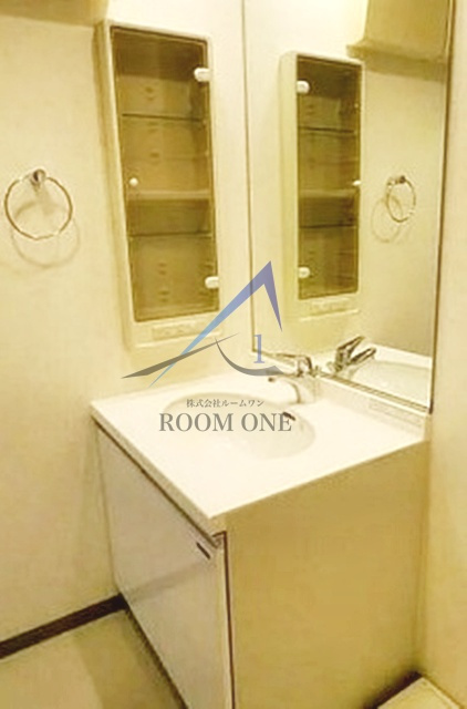 Tｓ六郷土手GARDEN の洗面所|洗面台です。