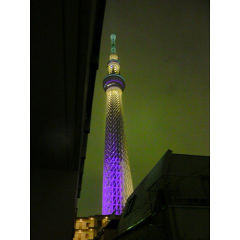 アピジ小梅向島の展望