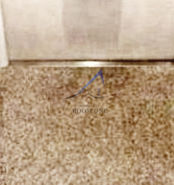 フェリーチェ東麻布の玄関|玄関です。