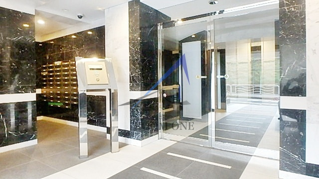 ブライズ亀戸のエントランス|エントランスです。