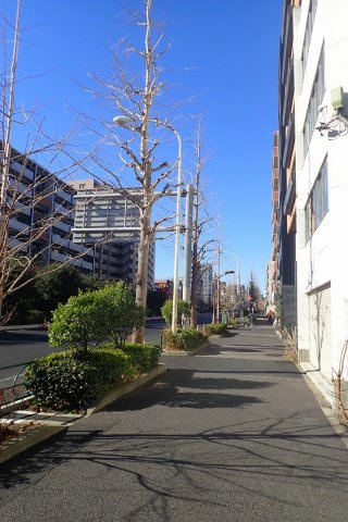 ハーモニーレジデンス文京白山の周辺