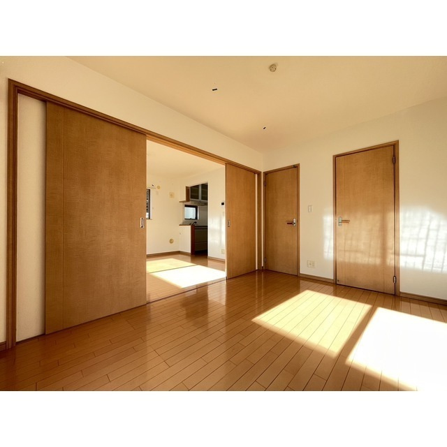 レイナスのその他