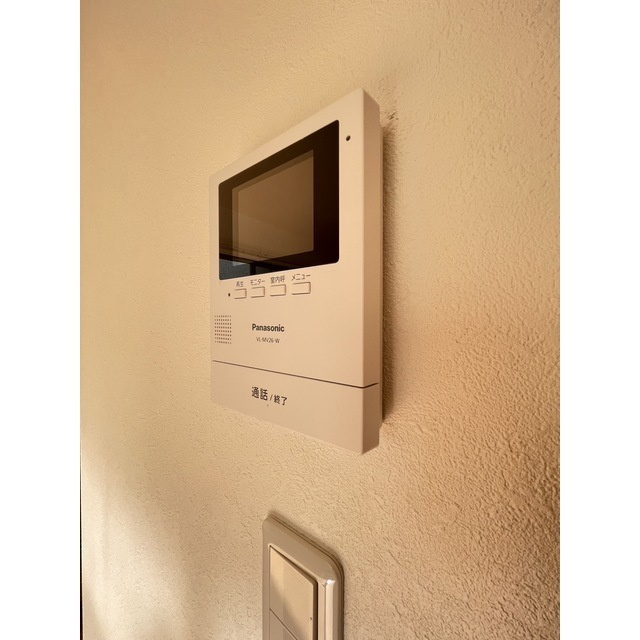 レイナスのその他