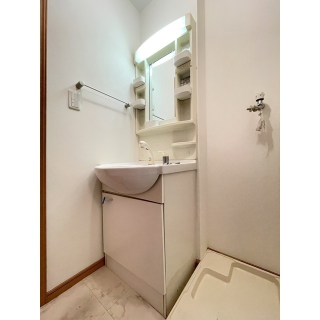 レイナスの洗面所