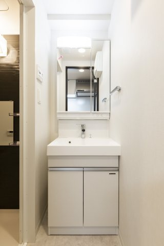 リビオメゾン大森ＥＡＳＴの洗面所