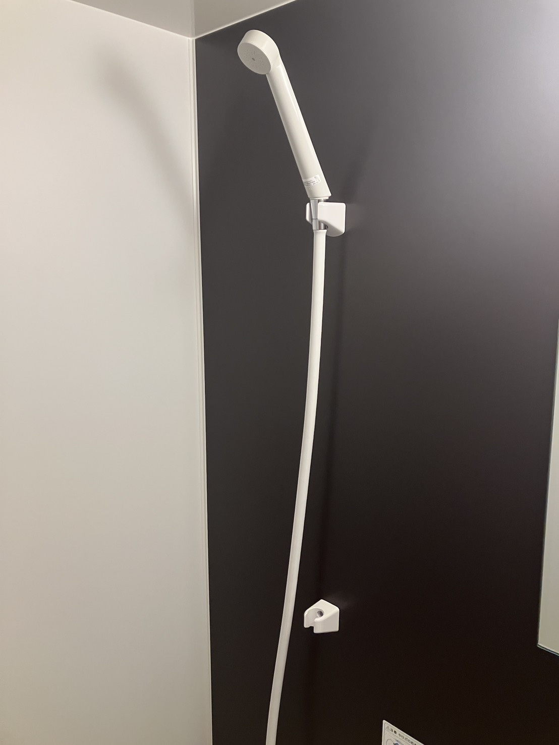 パレ・ドール五反野の内装|シャワー