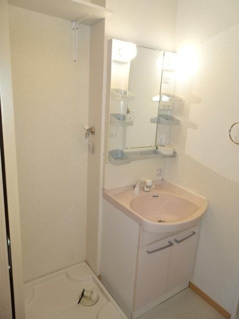 フォーチューン真壁　B棟の洗面所|洗髪洗面化粧台