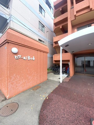 セザール宮の森のエントランス