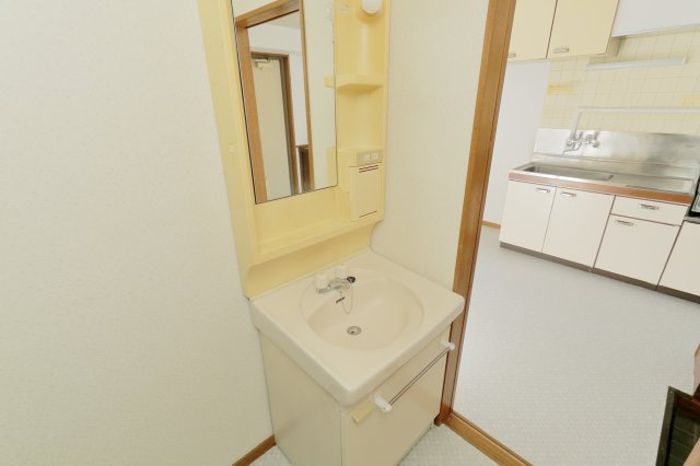 グレースハイツの洗面所