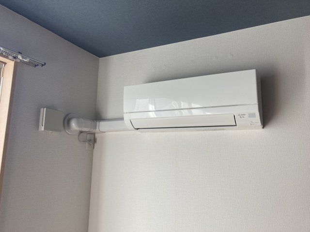 カトルセゾンのその他