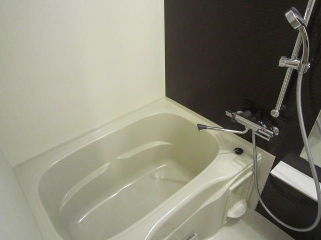 カーサスプレンディッド小石川の浴室