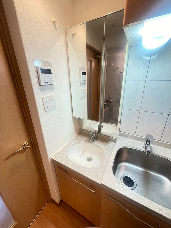 エステムコート新神戸エリタージュの洗面所