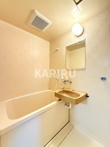 グランド・パレスジュイレーの浴室