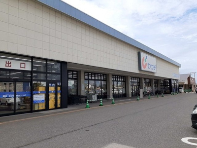 【周辺】 | セリシールⅡ | カワチ薬品松崎店まで900m