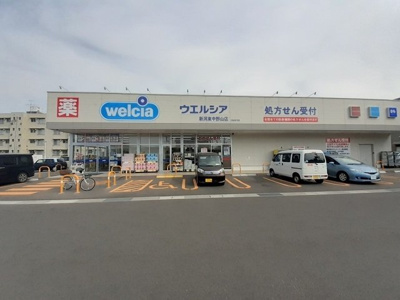 【周辺】 | クレメントＡ | ウエルシア新潟東中野山店まで500m