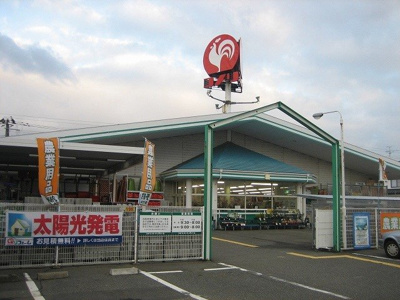 【周辺】 | ステラ | コメリハード＆グリーン松浜店まで540m