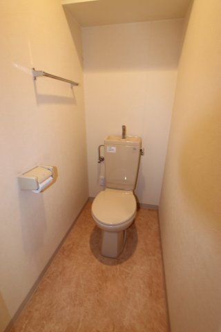 ラスターハイツⅡのトイレ