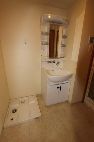 ラスターハイツⅡの洗面所