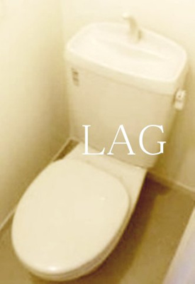 【トイレ】 | Ｆｏｒｅｓｔ　ｍａｉｓｏｎ白鳥 | トイレです。