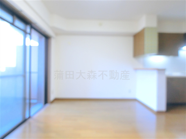 蒲田駅近分譲賃貸マンションの居間・リビング