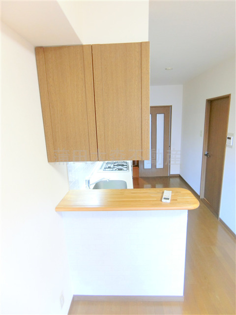 蒲田駅近分譲賃貸マンションの設備|カウンターキッチン　上部収納