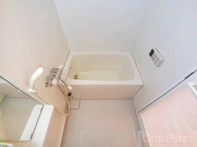 ミロード・ドゥ・メゾンの浴室