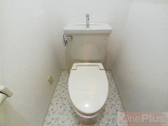 ミロード・ドゥ・メゾンのトイレ