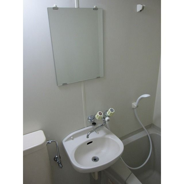 グリーンコーポの洗面所