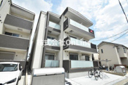 F asecia Carmelの画像