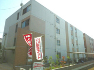 アルカディアⅡの画像