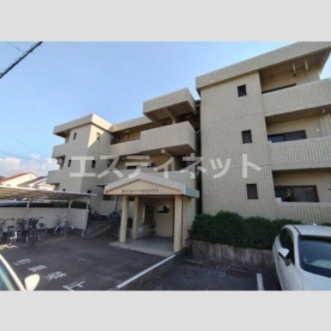 グレイスヒルカジノ