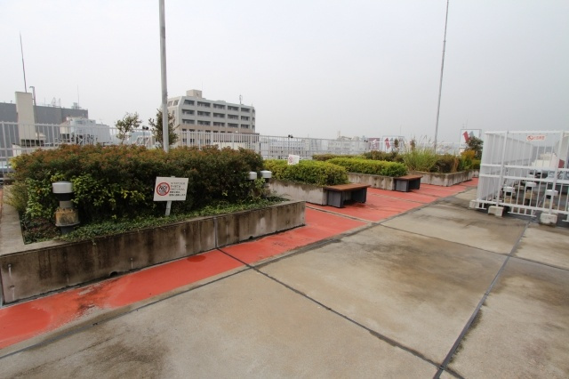 プライムアーバン日本橋横山町のその他|屋上ドックラン