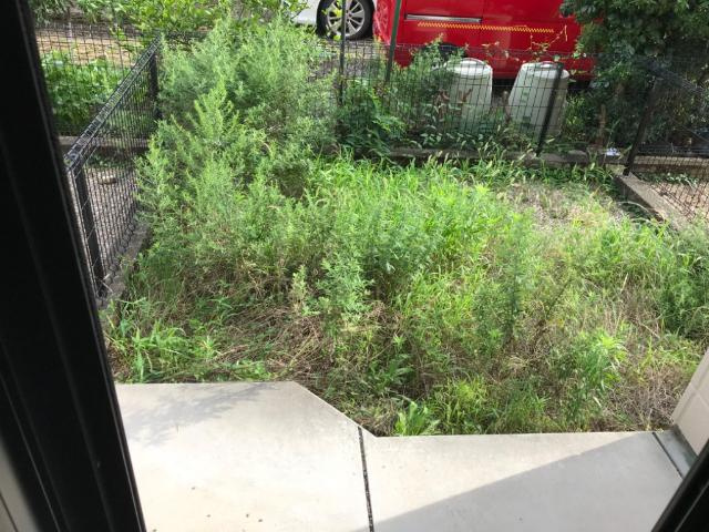 サンハイツ城山　　 刈谷市近郊の賃貸はクラスホームの庭|専用庭