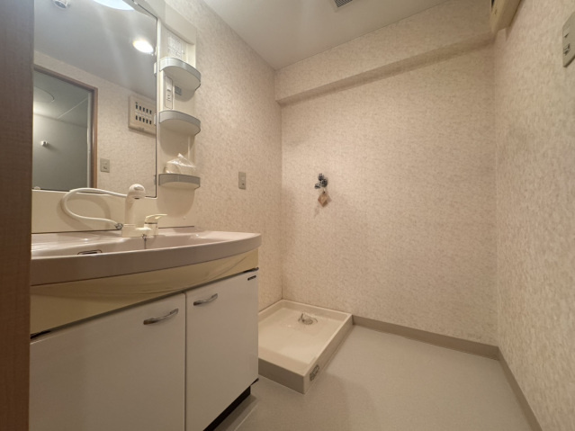 Caro Casa Bの洗面所