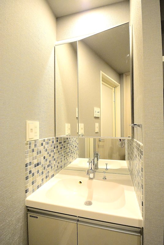 ステージファースト大森山王の洗面所|※カラータイプ異なります