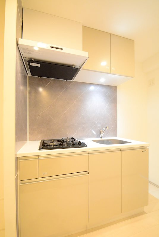 ステージファースト大森山王のキッチン|※カラータイプ異なります