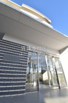 ザクシフの画像