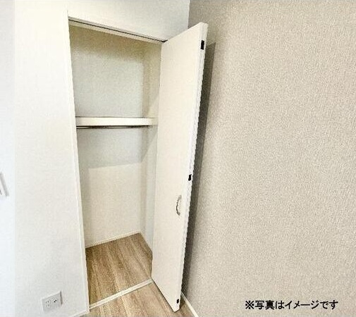 リュクスシティー黄金(リュクスシティーコガネ)の収納|小物を収納するのに便利です