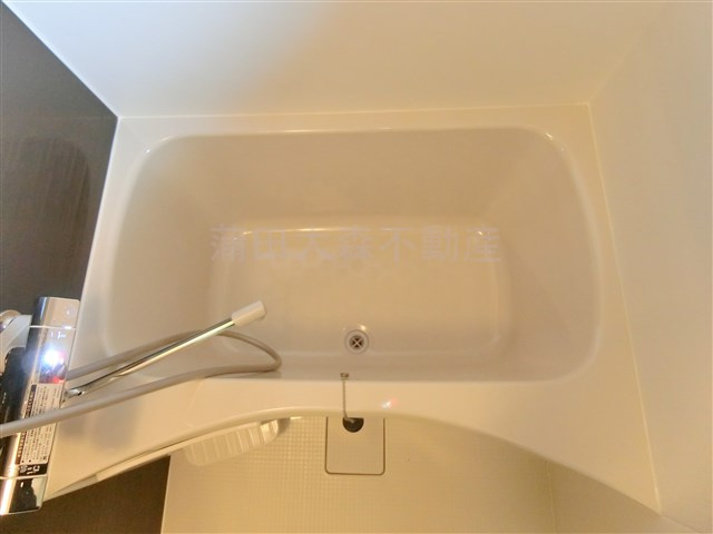 ガリシア矢口渡の浴室