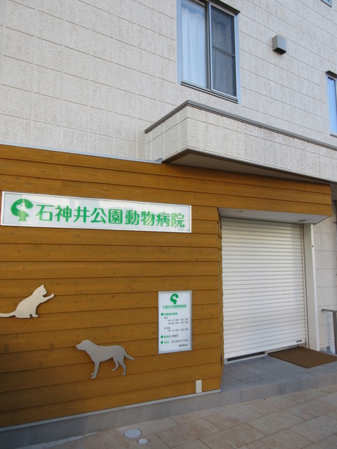 フローラ石神井の周辺|石神井公園動物病院