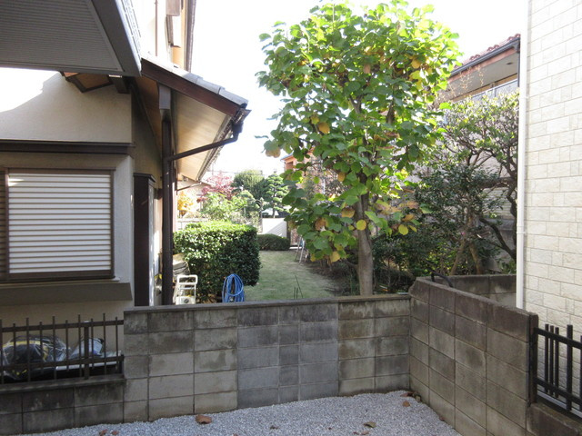 フローラ石神井の展望|★リビングからの眺望★