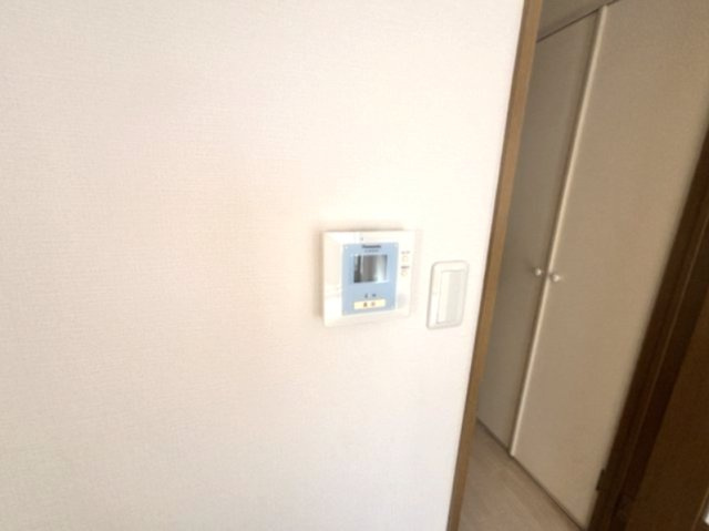 ブラウンコートのセキュリティ