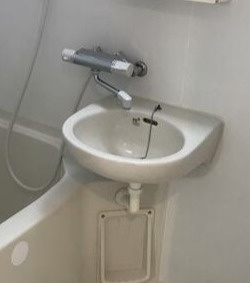 アヴァンツァーレ巣鴨の洗面所