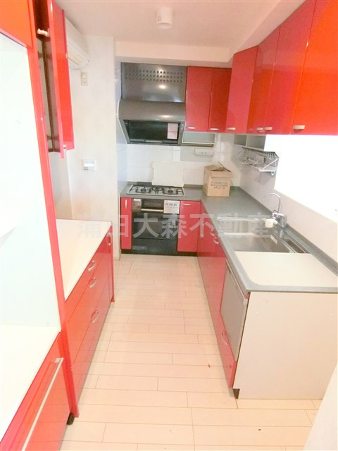 リバーサイド多摩川のキッチン|2階キッチン　3口ガスグリル+オーブン付システムキッチン　