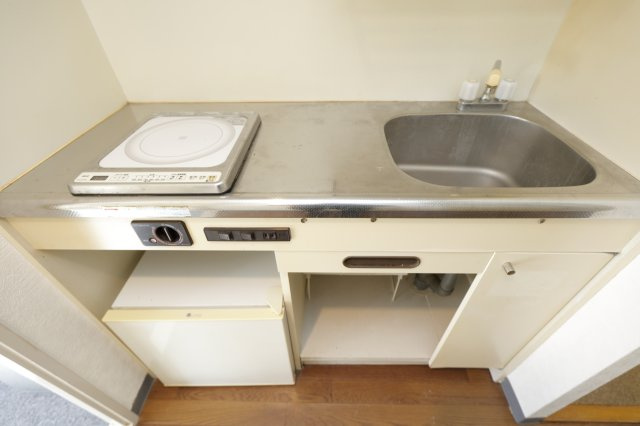 ライオンズマンション東新小岩の洋室